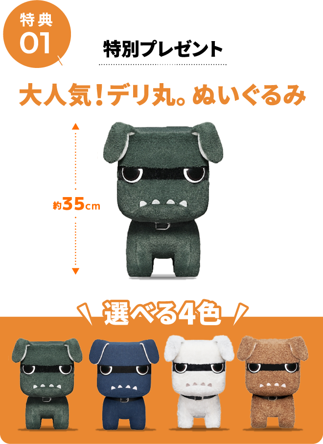 特典01 特別プレゼント 大人気！デリ丸。ぬいぐるみ 選べる4色 約35cm